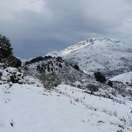 Finca Las Morenas Yunquera Eksteriør bilde