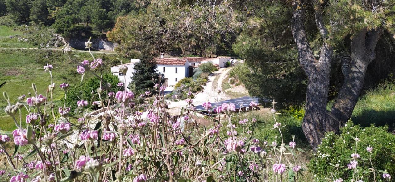 Finca Las Morenas Yunquera Eksteriør bilde