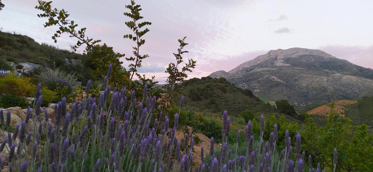Finca Las Morenas Yunquera Eksteriør bilde