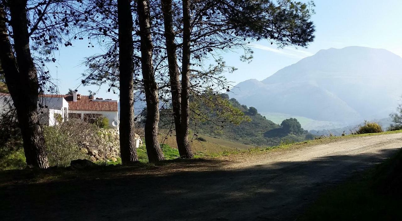 Finca Las Morenas Yunquera Eksteriør bilde