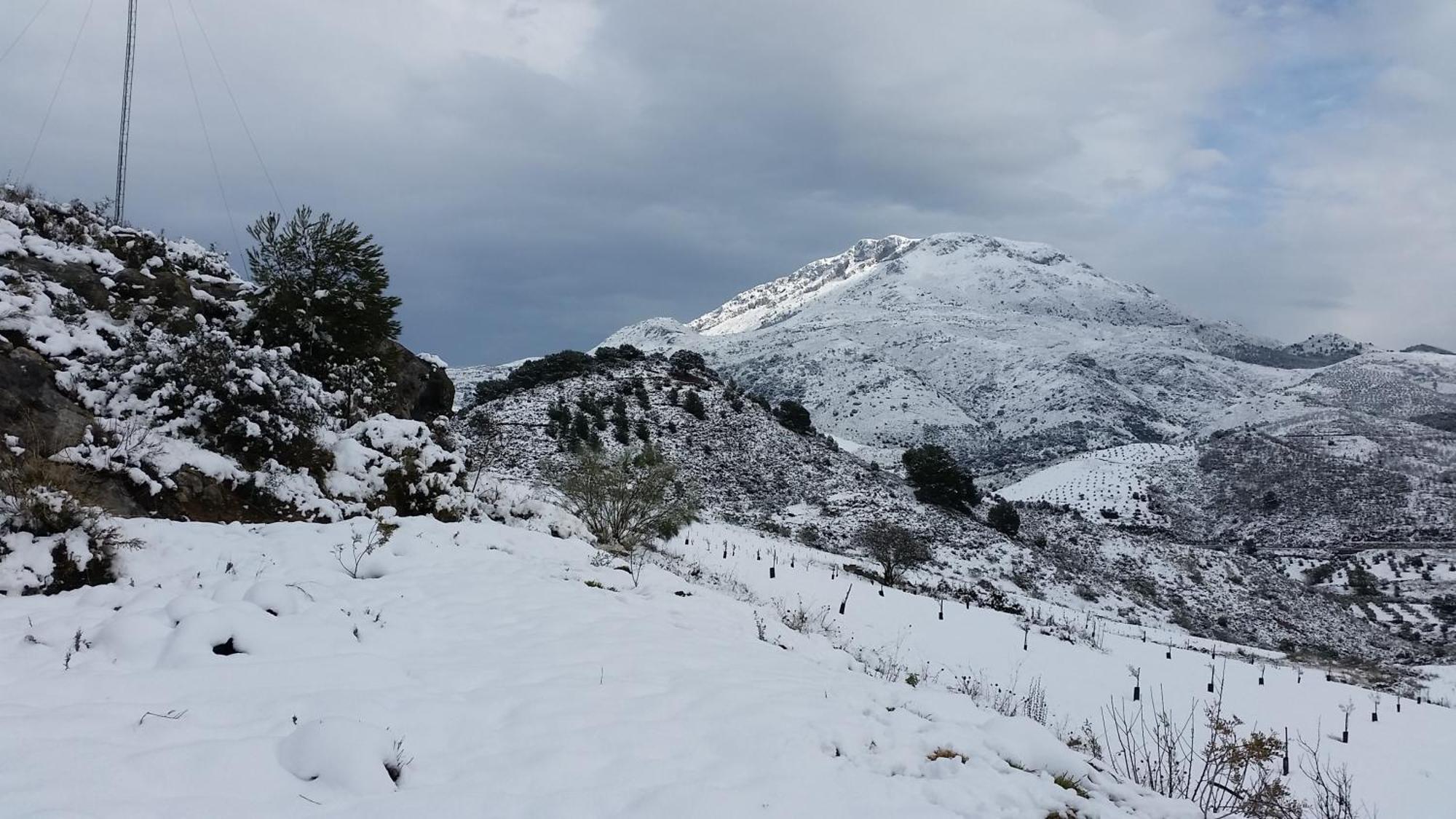 Finca Las Morenas Yunquera Eksteriør bilde