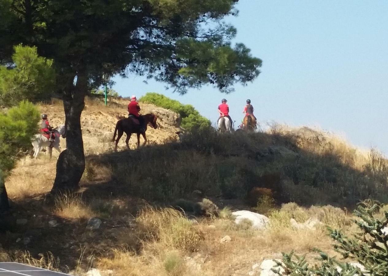 Finca Las Morenas Yunquera Eksteriør bilde