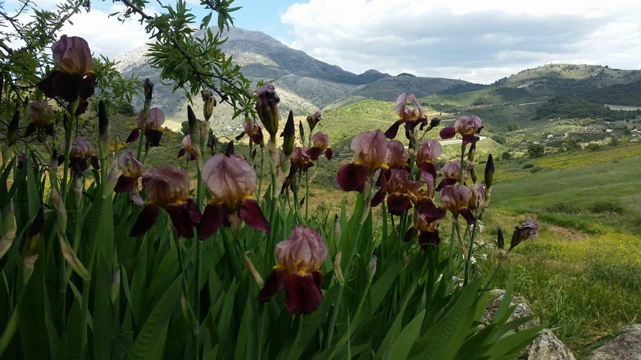 Finca Las Morenas Yunquera Eksteriør bilde